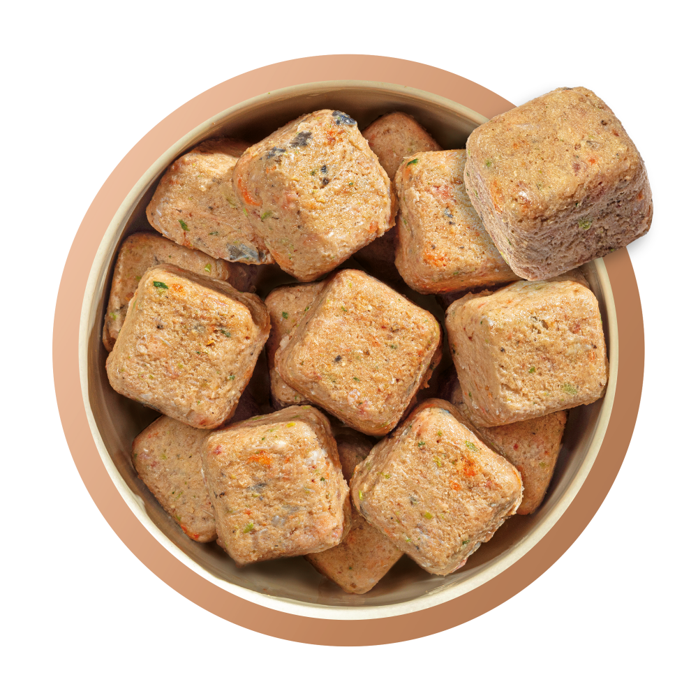 Natures menu country hunter raw nuggets sale