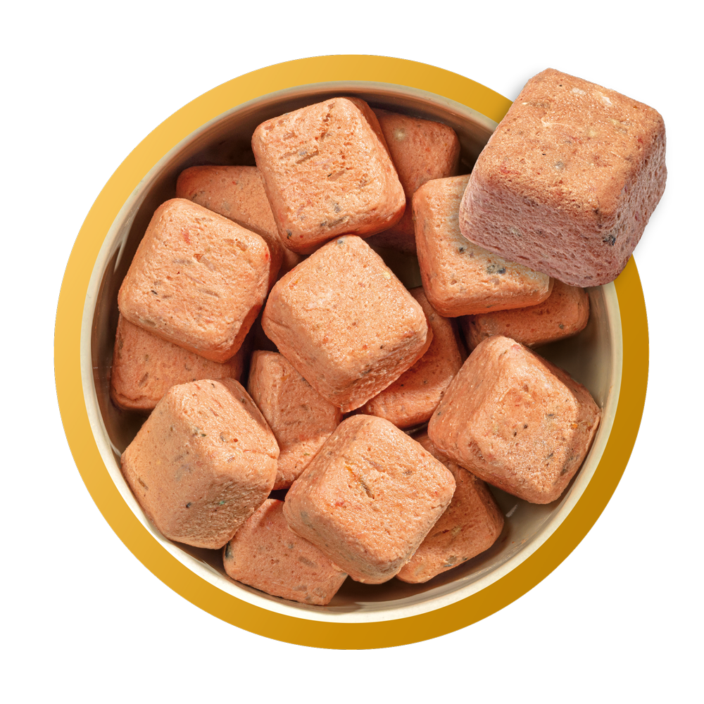 Natures menu on sale puppy nuggets