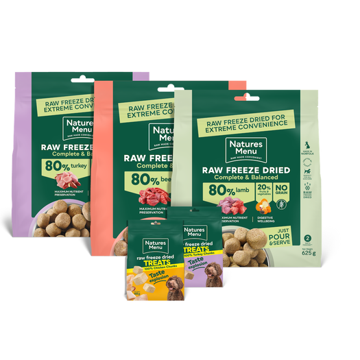 Freeze-Dried Big Flavour Bundle for Large Dogs