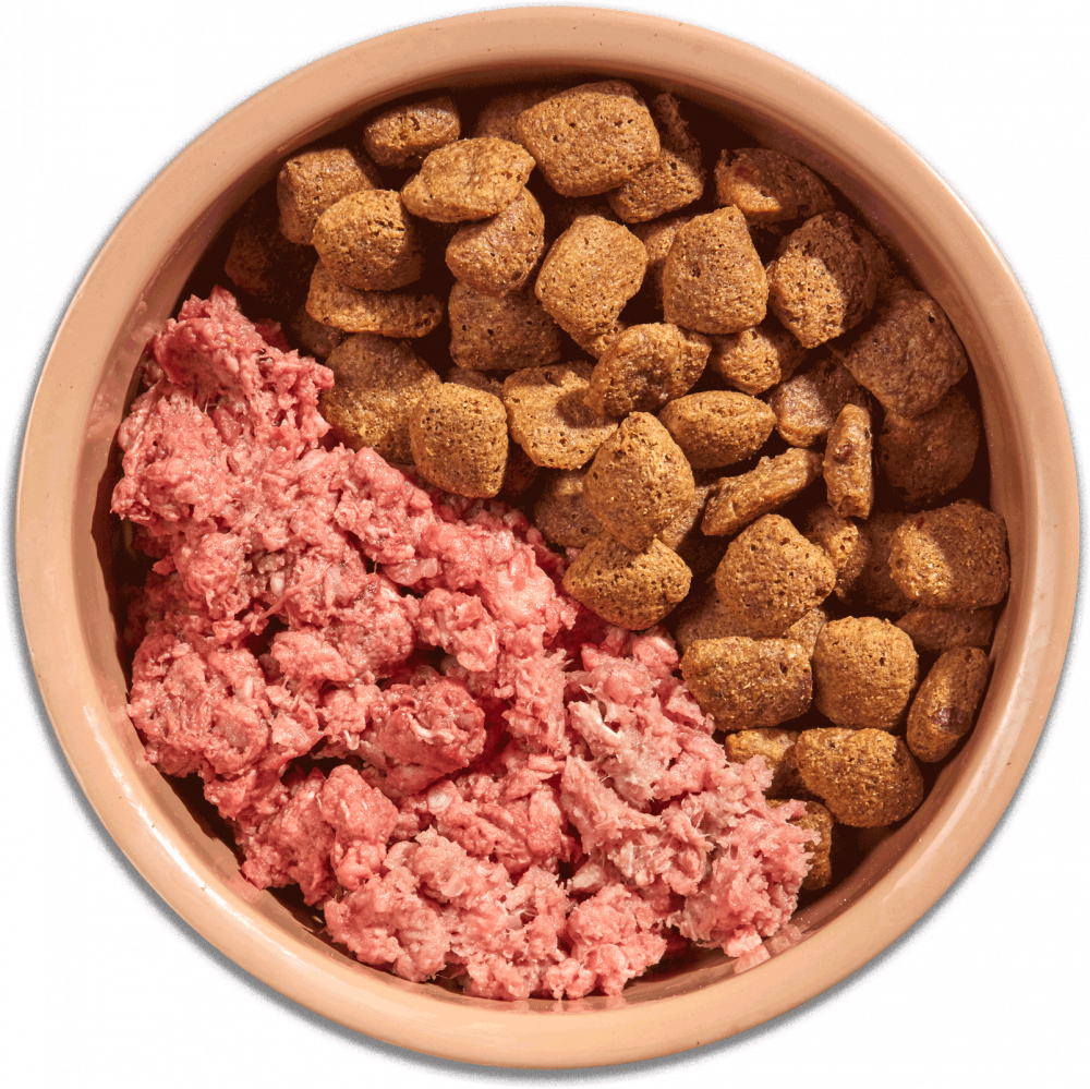 Natures menu country hunter mighty cheap mixer