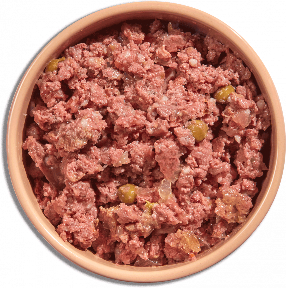Natures menu wet dog food top