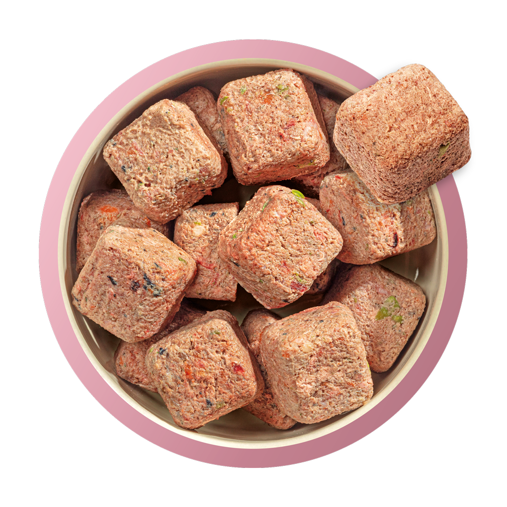Wild Venison Country Hunter Raw Nuggets Natures Menu