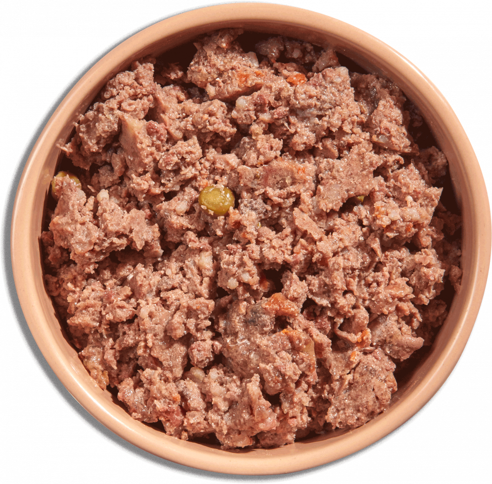 Natures menu top beef and tripe