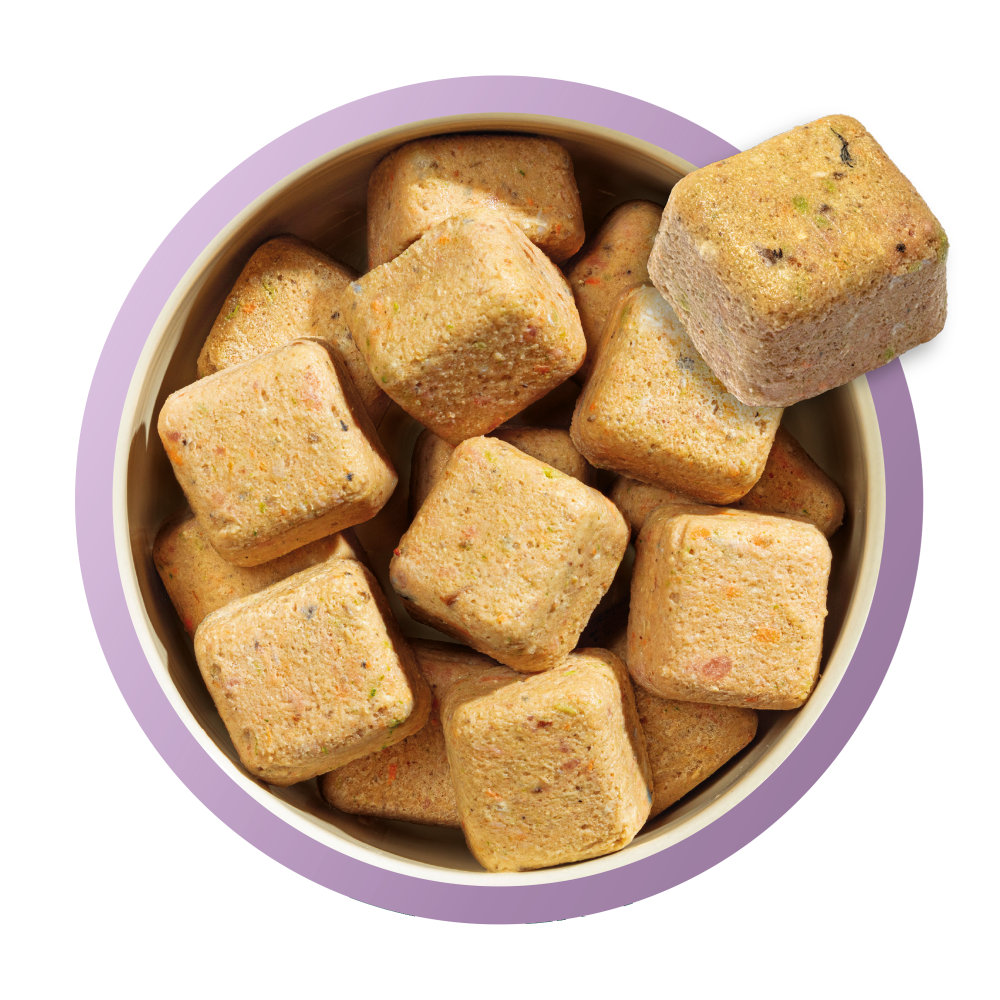 Puppy Nuggets Country Hunter Raw Nuggets Natures Menu