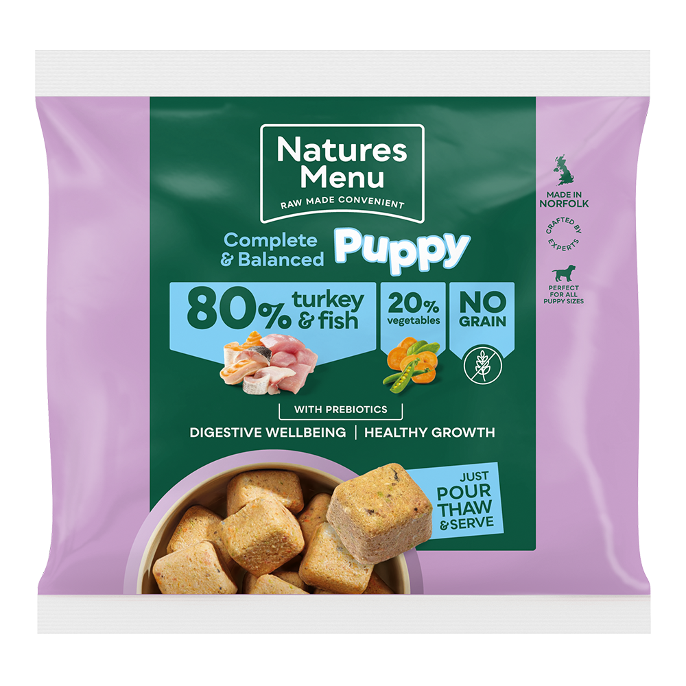 Fish puppy online