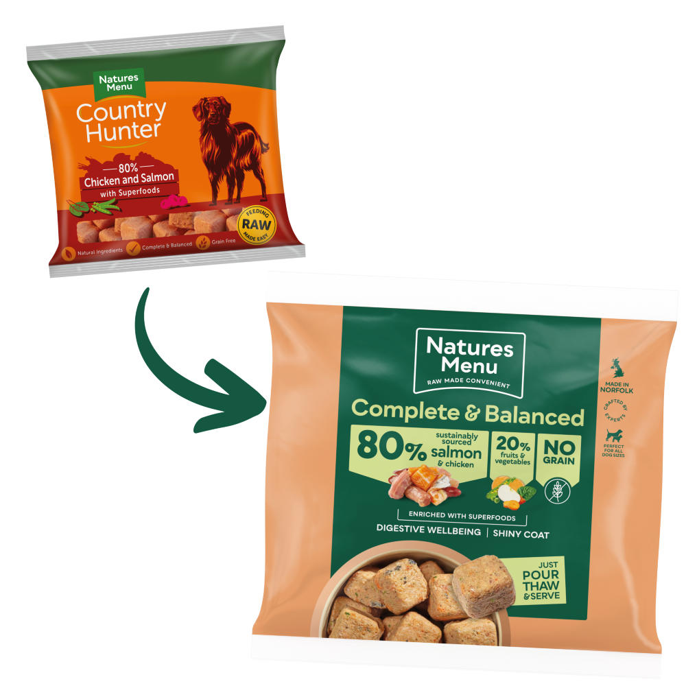 Country hunter raw dog food cheap