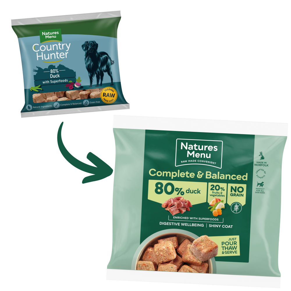 Country hunter raw dog food deals