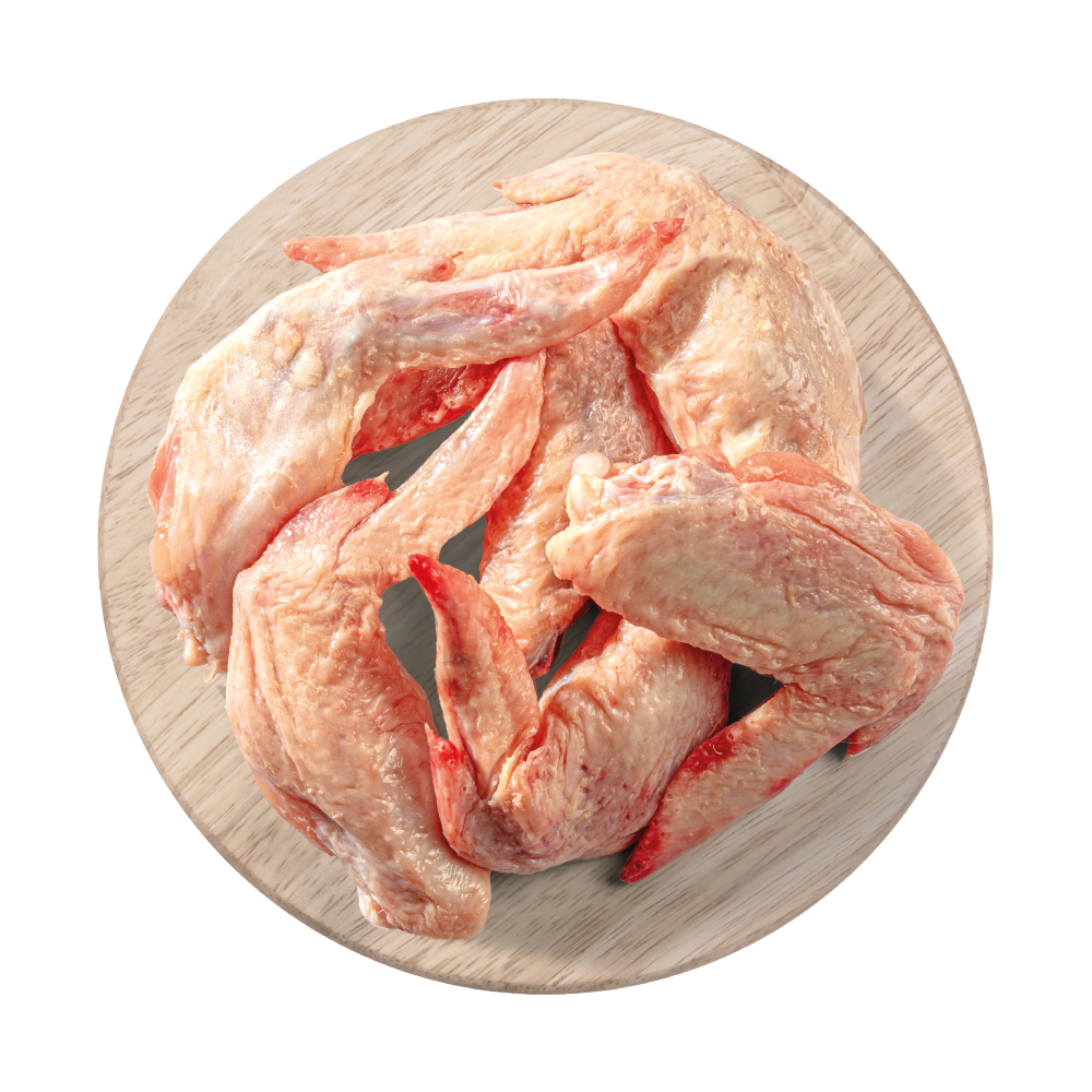 Feeding dogs hot sale chicken wings