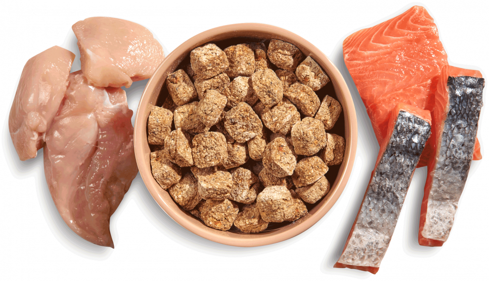 Mighty Mixer Country Hunter Biscuits Natures Menu