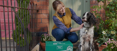 Meaty discounts across our entire wet food range