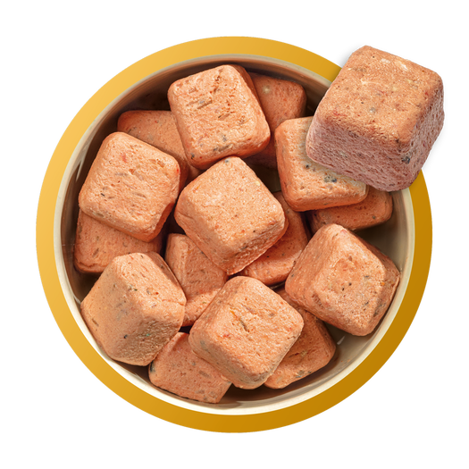 80% Chicken and Salmon for Puppies image number 2