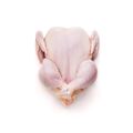 55% Chicken