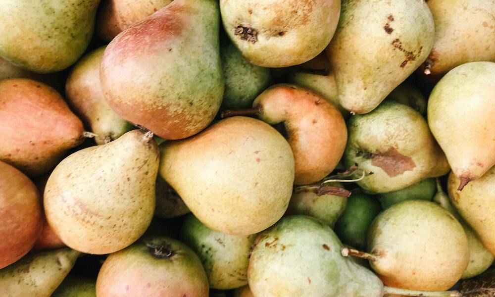 Can dogs eat pears?