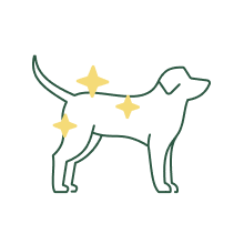 <b>Visible health effects </b>from small, firm poos to a healthy coat. 