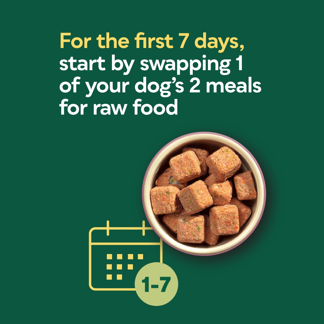 how to switch to raw food
