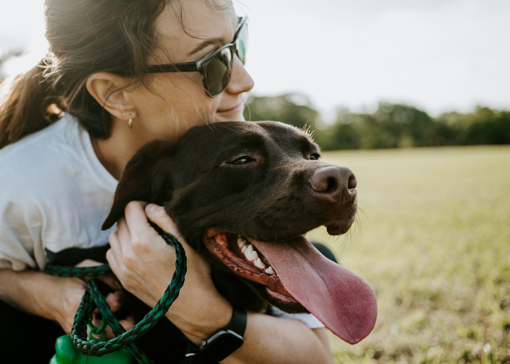 How to cool down a dog in the summer heat