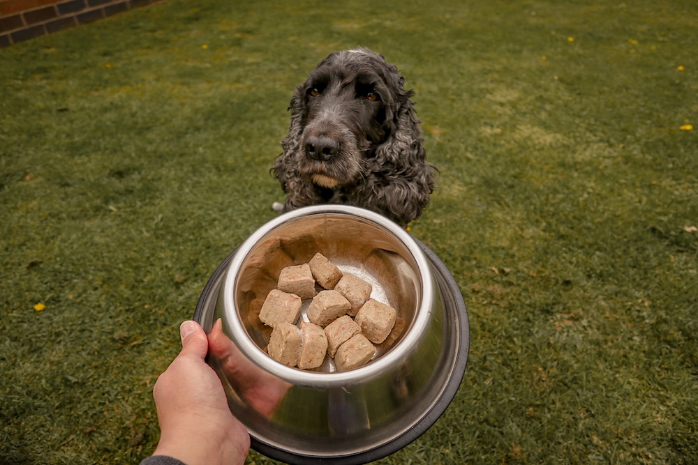 Easy raw dog food calculator