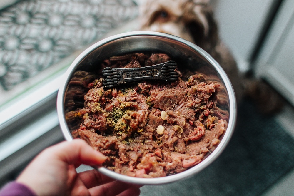 Are dog food toppers worth it?