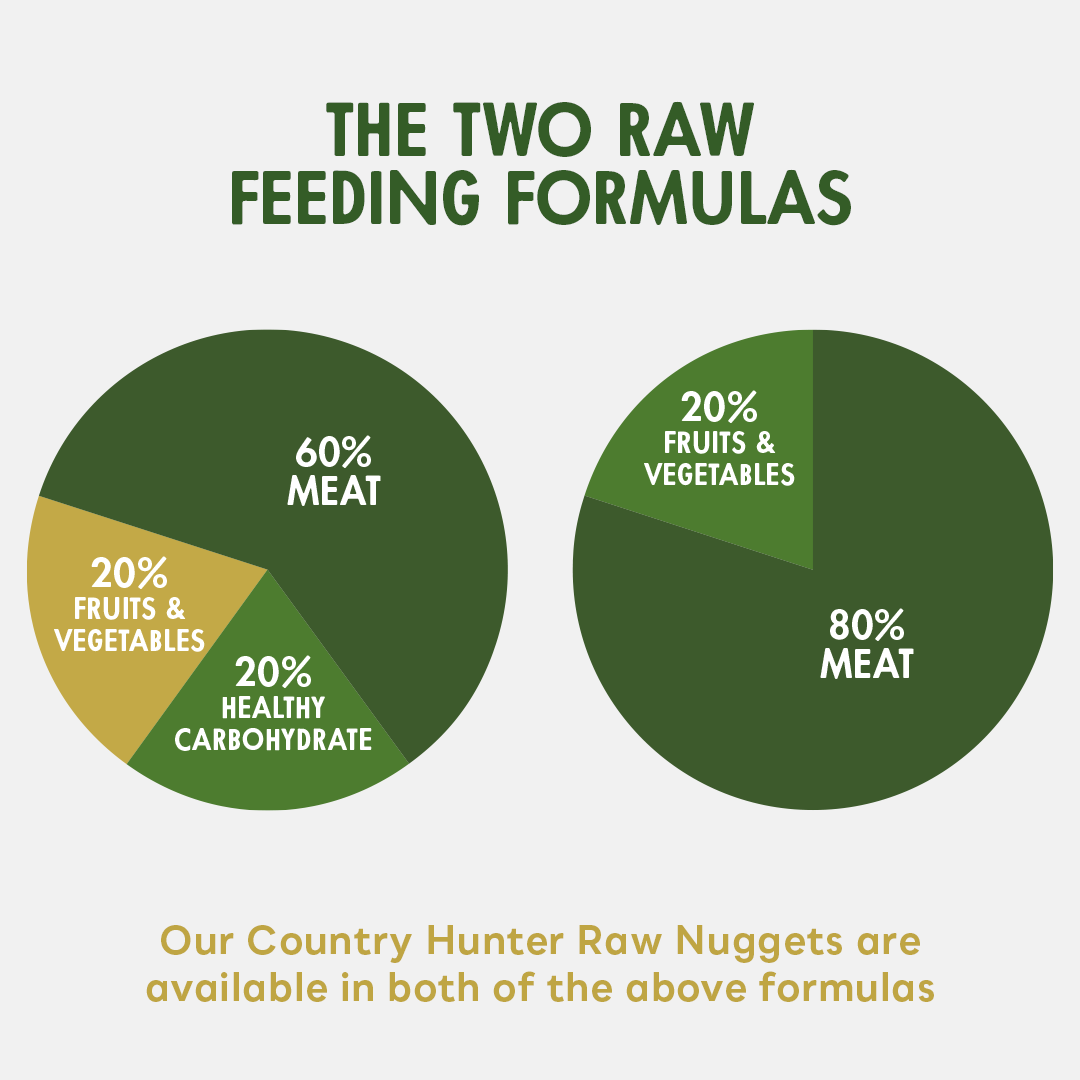 How Much Should Dogs Eat?  Calculate How Much to Feed Your Dog