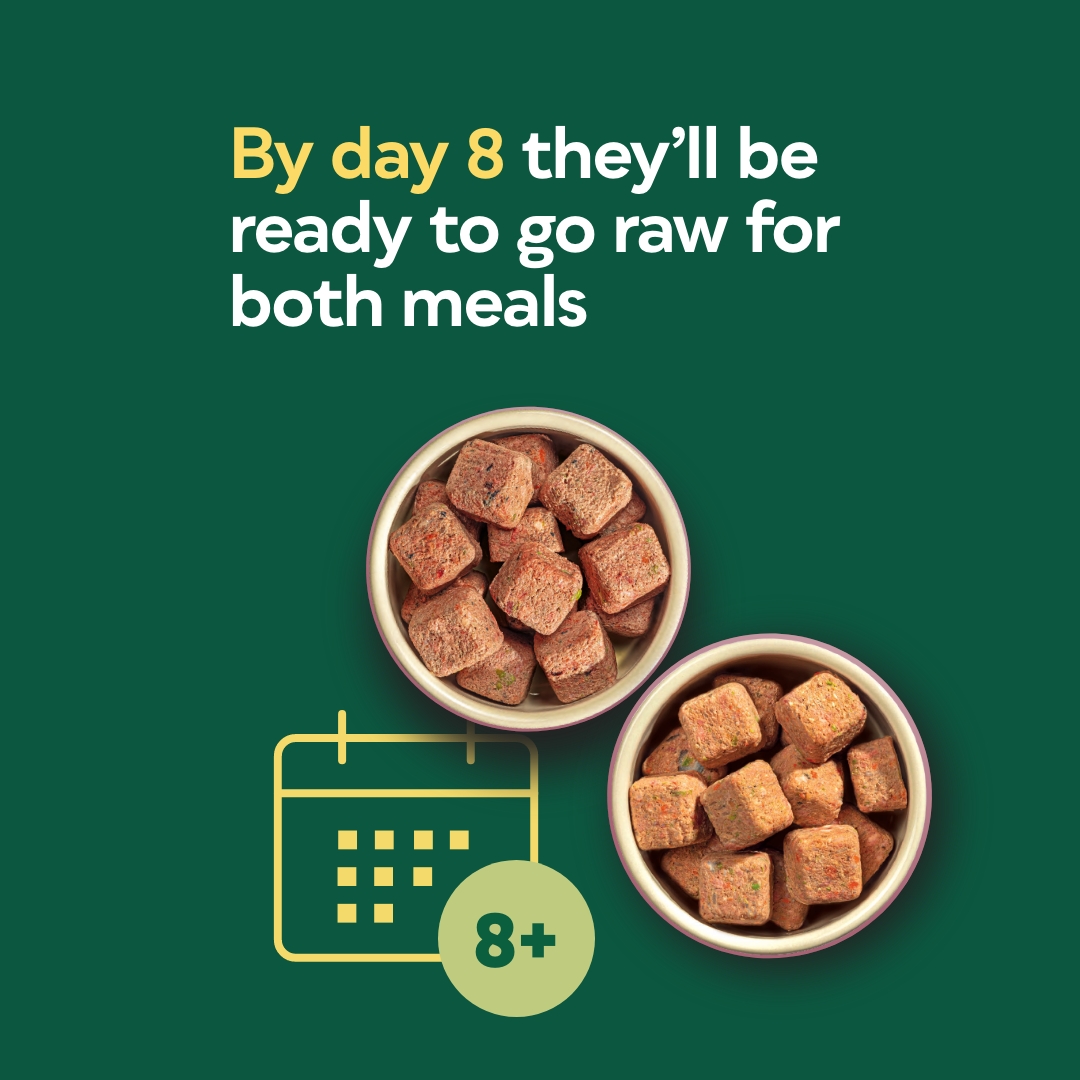 how to switch to raw food