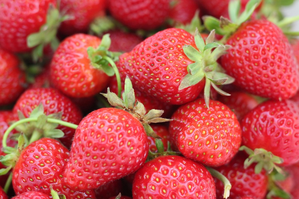 Can dogs eat strawberries?