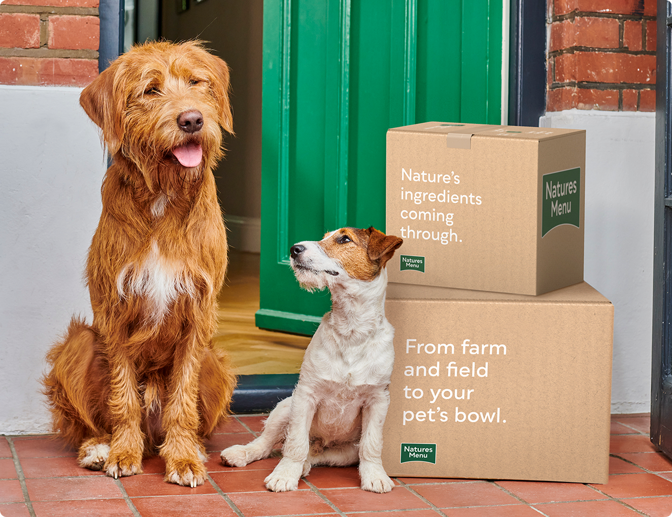 healthy treats for dogs